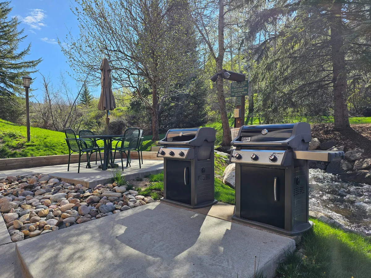 An outdoor grilling and dining area is set amid abundant greenery, with a stream flowing nearby. The setup invites guests to enjoy outdoor meals and social gatherings, surrounded by the sights and sounds of nature. There's a casual, welcoming vibe, perfect for summer evenings or relaxed mornings by the water.